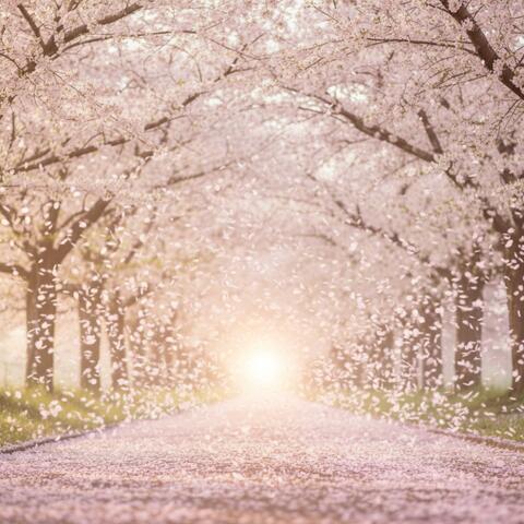 新しい風が君を運ぶ