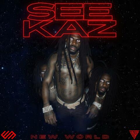SEEKAZ NEW WORLD