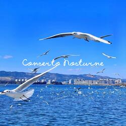 Concerto Nocturne