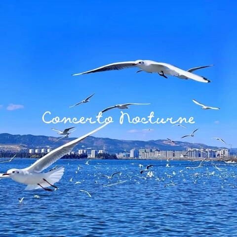 Concerto Nocturne