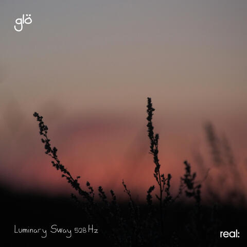 Luminary Sway 528 Hz