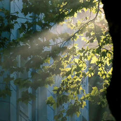 我的春风何时来