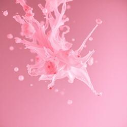 You Are No Longer Here