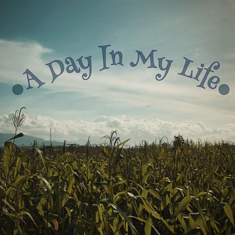 A Day in My Life