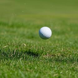 ミスショット・ブルース