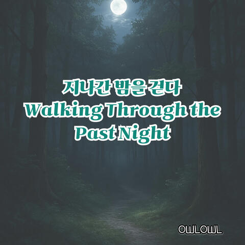 Walking Through the Past Night