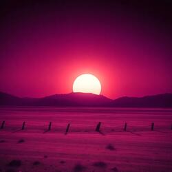 walking between fires