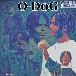 Odog