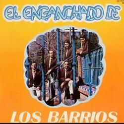 Siento haberte perdido