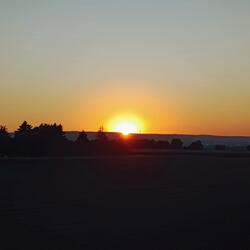 Velocity of the Heart