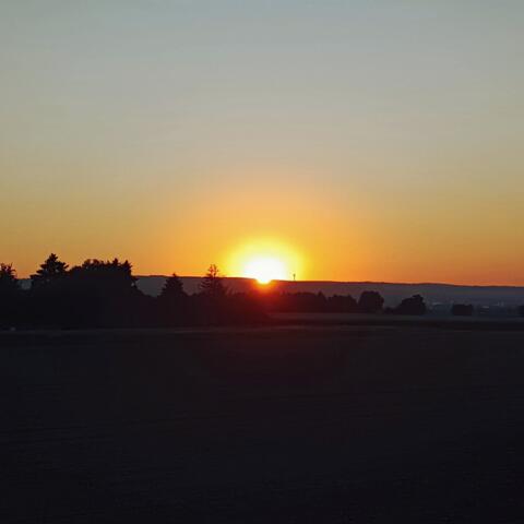 Velocity of the Heart