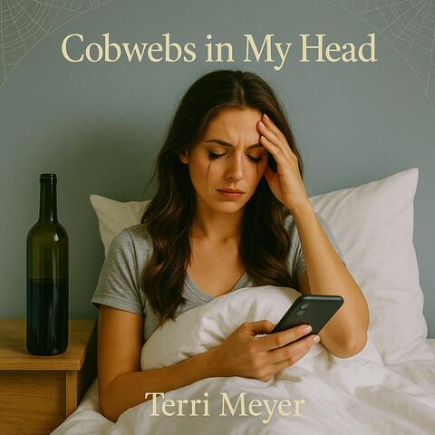 Cobwebs In My Head