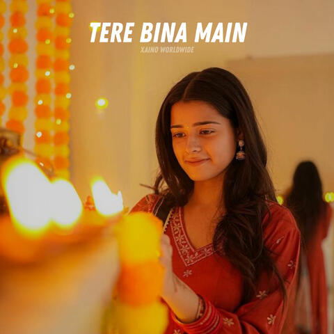 Tere Bina Main
