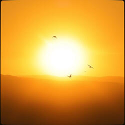 Salmo 145 (146) - Bendize, Minha Alma, e Louva Ao Senhor!