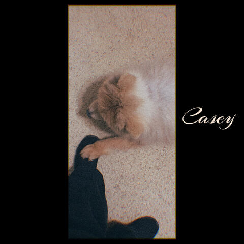 Casey
