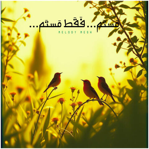 مَستَم... فَقَط مَستَم