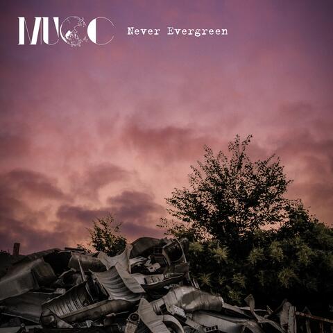Never Evergreen
