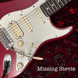 Missing Stevie