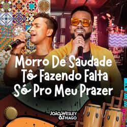 Morro de Saudade Tô Fazendo Falta Só Pro Meu Prazer