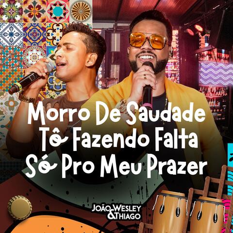 Morro de Saudade Tô Fazendo Falta Só Pro Meu Prazer