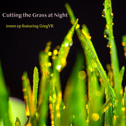 Cutting the Grass at Night