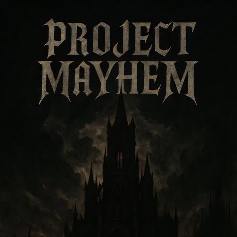 Project Mayhem
