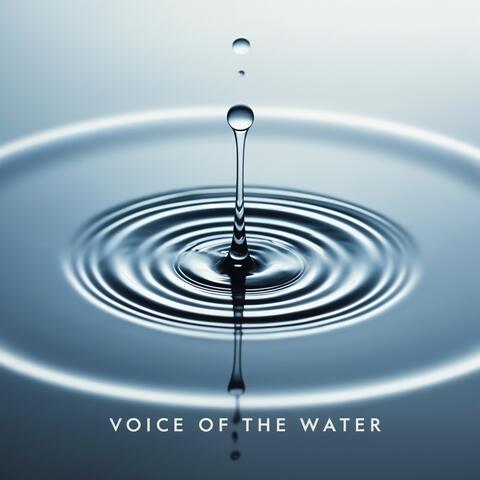 Voice of the Water