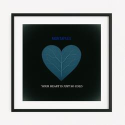 Your Heart Is Just So Cold