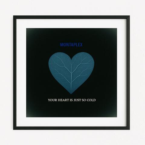 Your Heart Is Just So Cold