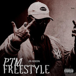 PTM-Freestyle