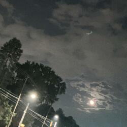 HI MY NAME IS SINGLE