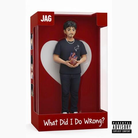 What Did I Do Wrong?