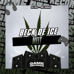 Beck De Ice Melt