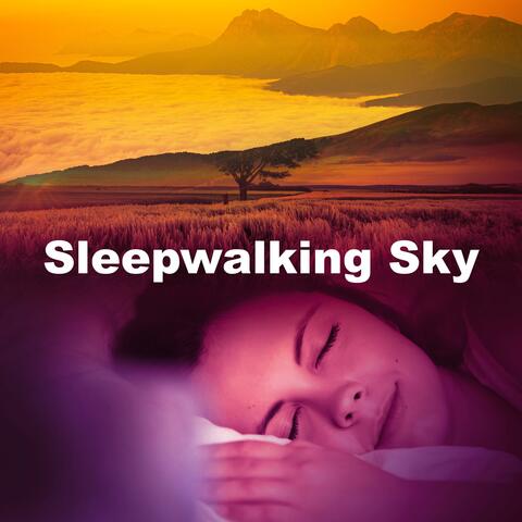 Sleepwalking Sky