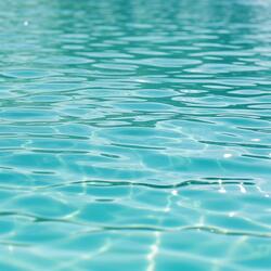 Dajur Father Who Remembered Only Love