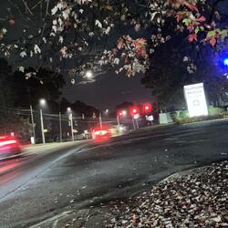 HI MY NAME IS SINGLE ID LIKE YOU TOO 1