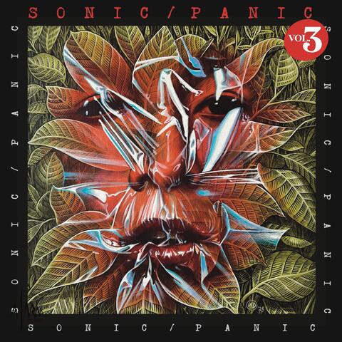 sonic/panic vol.3