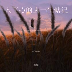 入了心的人一生惦记