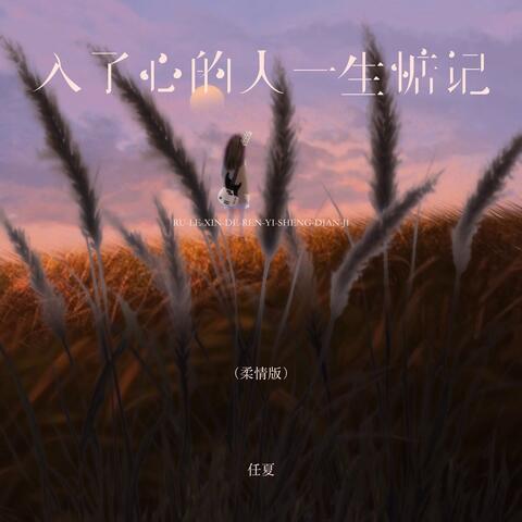 入了心的人一生惦记