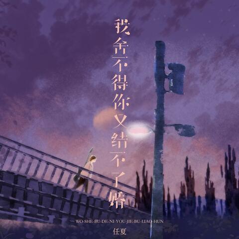 我舍不得你又结不了婚