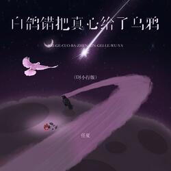 白鸽错把真心给了乌鸦