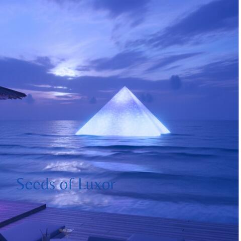 Seeds of Luxor