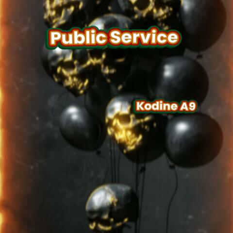 Public Service