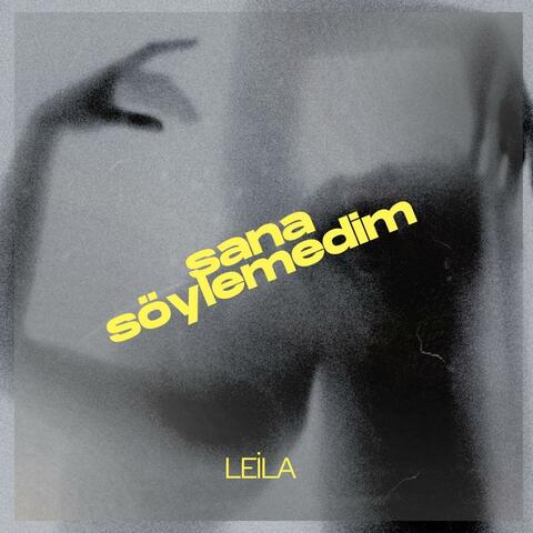 Sana Söylemedim