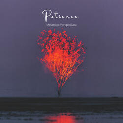 Patience