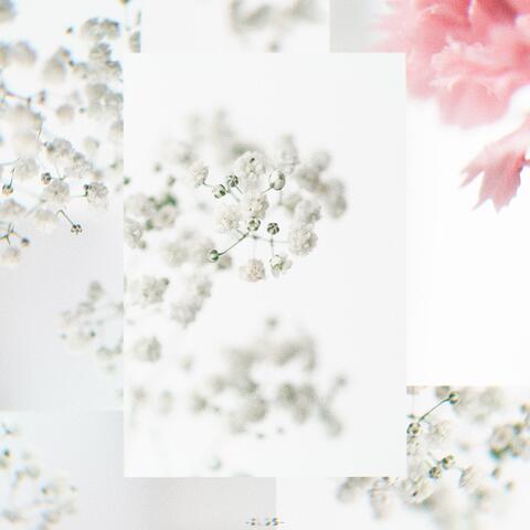 sugarcoat my dreams.