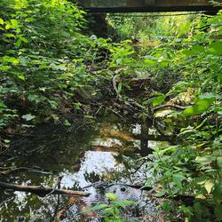 i think i’m falling for you