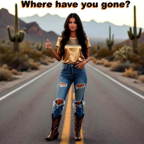 Where have you gone?