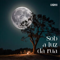 Sob a luz da rua