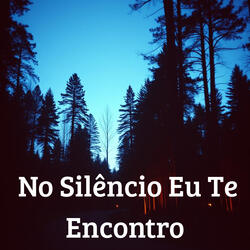 No Silêncio Eu Te Encontro